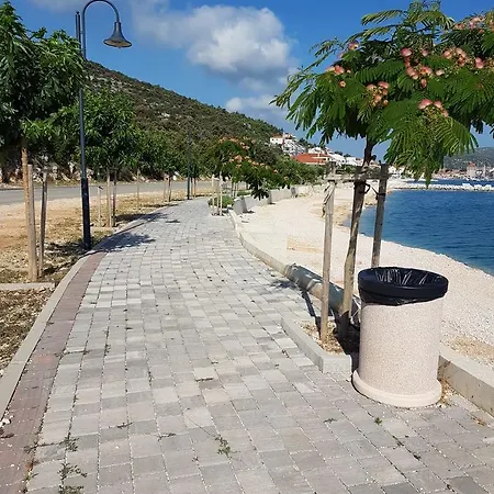 Cruiser * مارينا